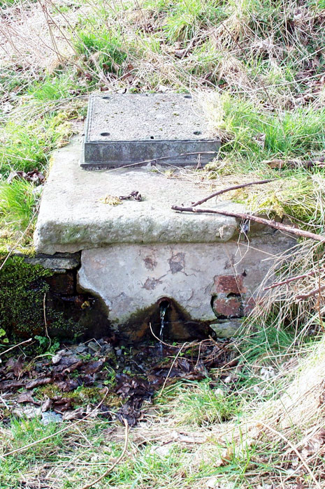Delf Well