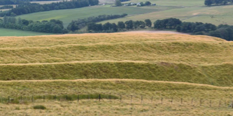 Castle Law