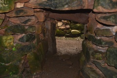 Castle Law