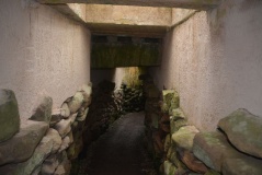 Castle Law