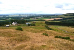 Castle Law