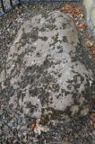 Glencorse Cup and Ring Marked Stone