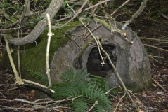 St Matthew's Well (Roslin)