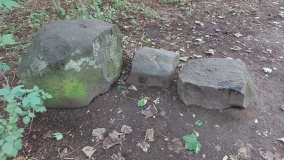 Cammo Stone