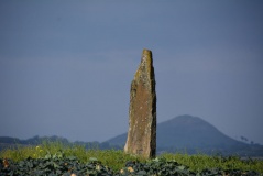 Pencraig Brae