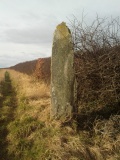 Loth Stone