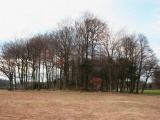 Pollok House Barrow - PID:117955