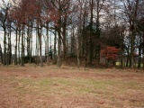 Pollok House Barrow - PID:117956