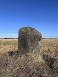 Gogar Stone - PID:296627