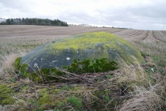 Boar Stone (Armadale) - PID:209314 Boar Stone (Armadale) - PID:209314