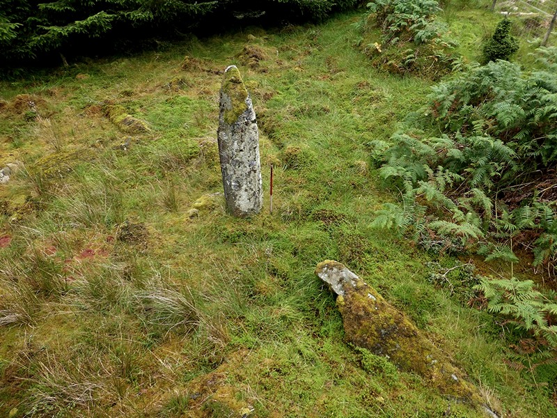 Sannaig