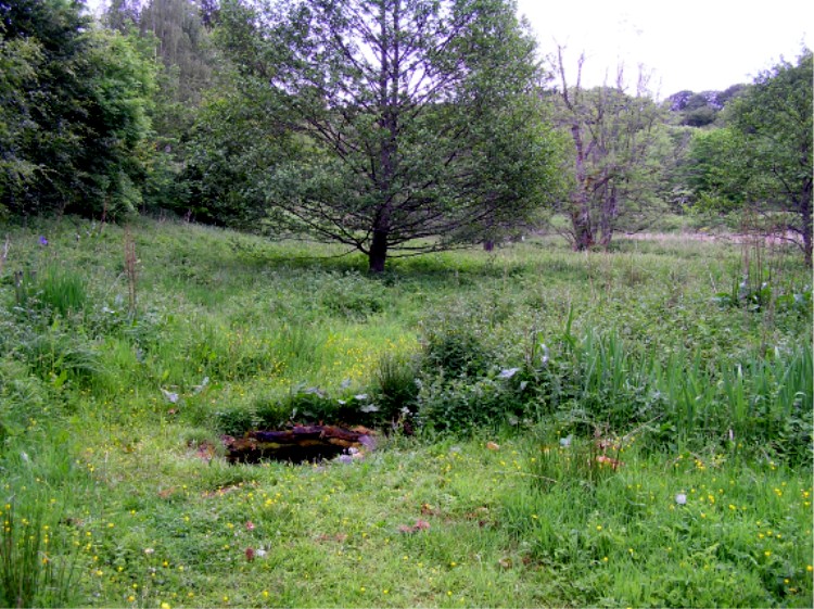 St Fumac's Well