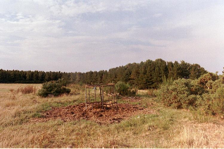 Part of the Burnham family holiday to Tomintoul, Moray in August 2003