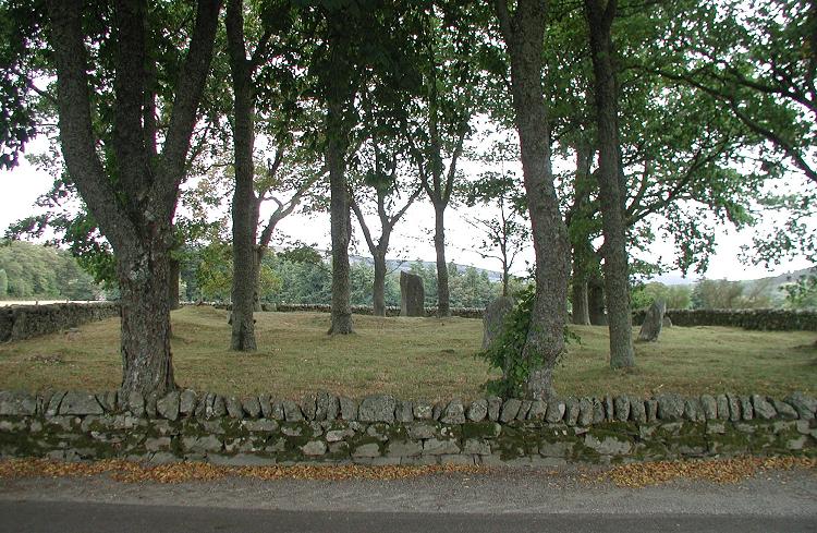 Marionburgh 60