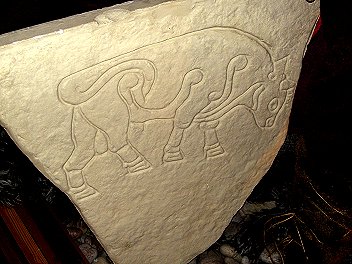 Burghead Pictish Symbol Stones (class I) and Pictish Fort