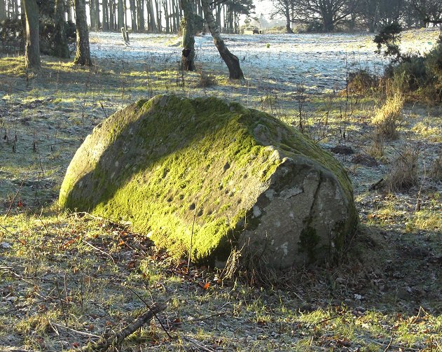 Click for the gallery page to add comments and vote (PID:35813) Inverugie Cup marked stone