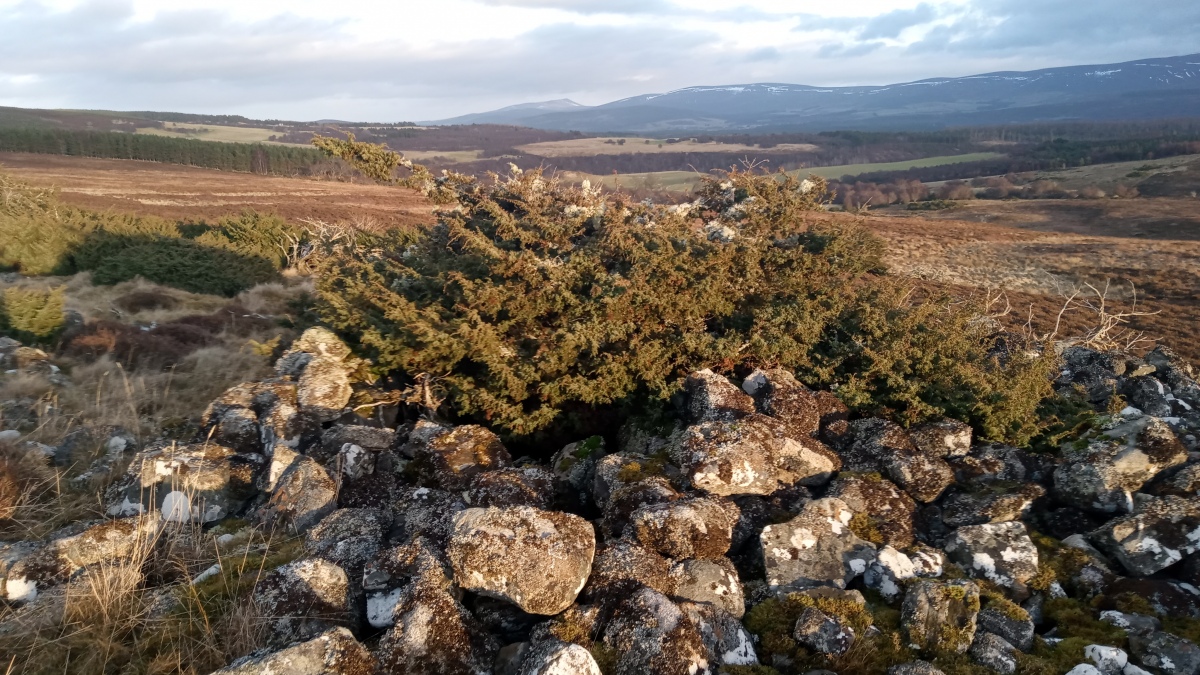 Click for the gallery page to add comments and vote (PID:268152) Beinn Mhor
