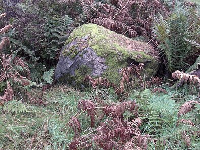 Binn Hill