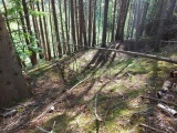Davie's Castle - PID:274721