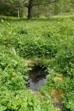 St Fumac's Well - PID:306278