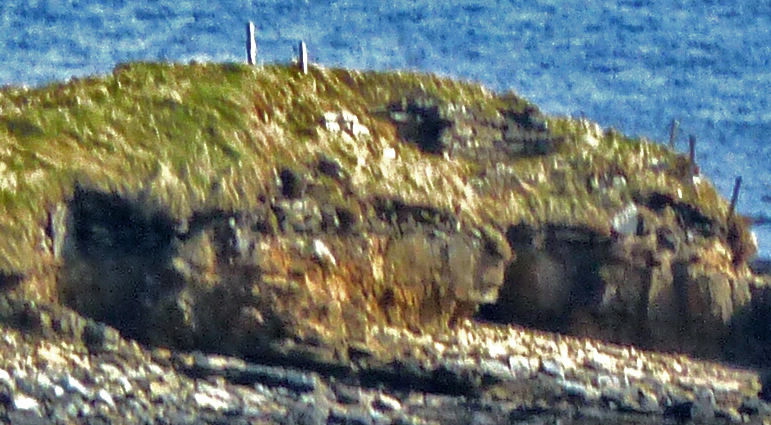 Broch of Steiro