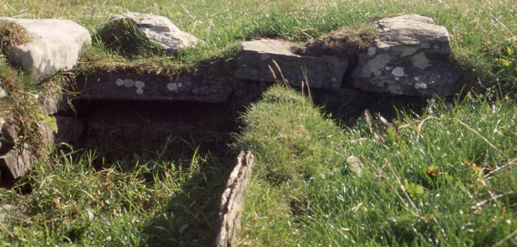Crantit souterrain