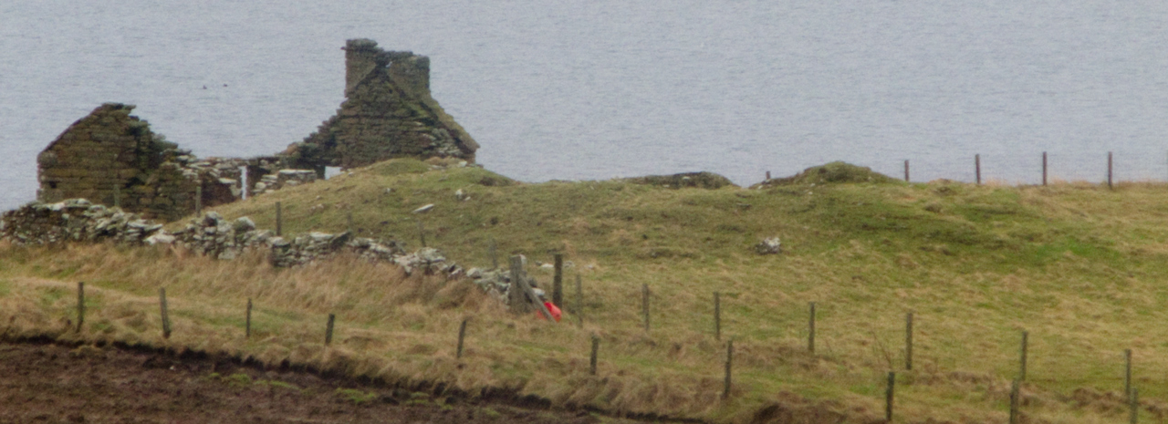 Click for the gallery page to add comments and vote (PID:117812) Little Howe of Hoxa
