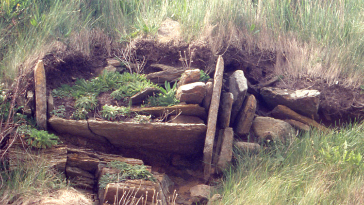 Broch of Breckness