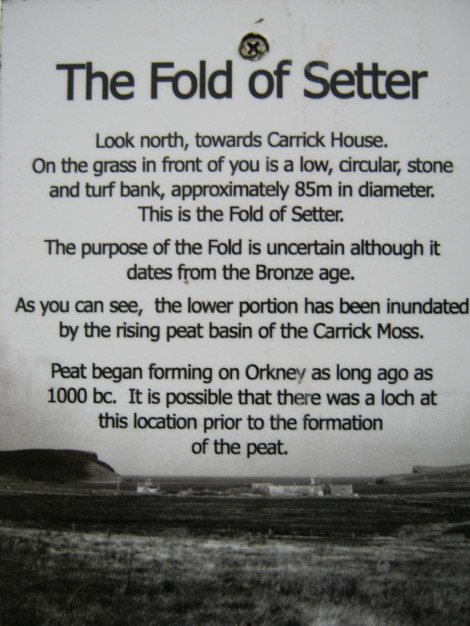 Fold of Setter
