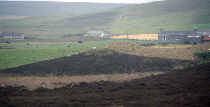 Knowes of Trotty