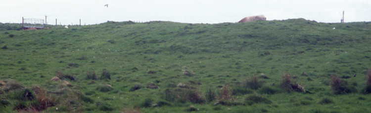 seen from left.
Continue along the Hawell road and you come to a spot where a church on the hillside overlooks a tiny disused quarry. just at the end you turn tightleft at the junction. At the top of this section of road is a thriving farm with modern sheds, immense by Orkney standards. At the back right corner you can see a long mound of bare earth of comparable size to the fence. This is libera