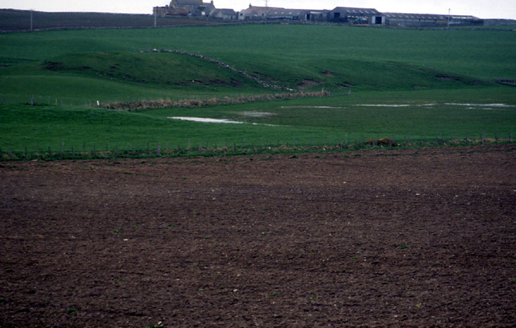 seen from graveyard road, photo not 3D enough
Passing the Scapa Distillery turnoff heading out toward Orphir you can't miss this site immediately to your right behind the small wooden cottage whose name I have given it. Originally I thought this long mound to be the furthest settlement associated with the Broch of Lingro.For most of its length it stands a couple of metres high, the road has pract