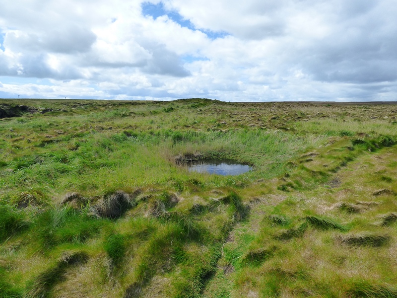 Brough of Deerness