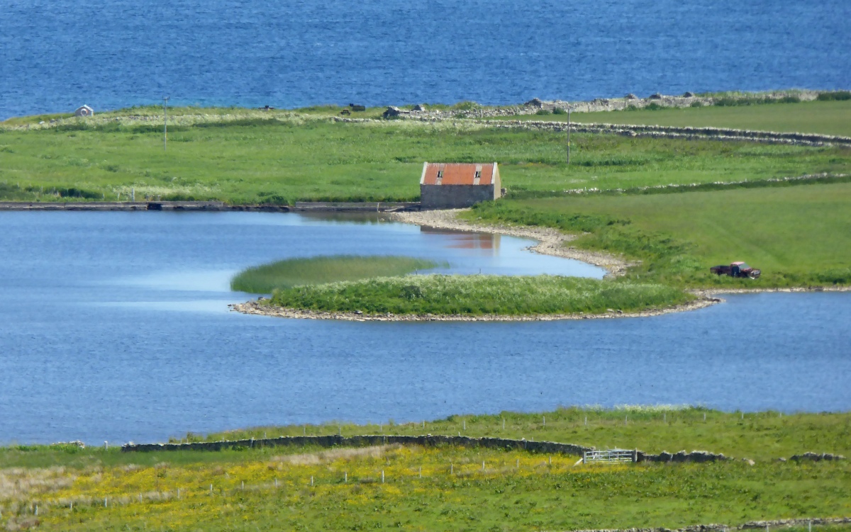 Click for the gallery page to add comments and vote (PID:221608) Bretta Ness
