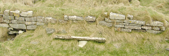 Newark (Orkney)