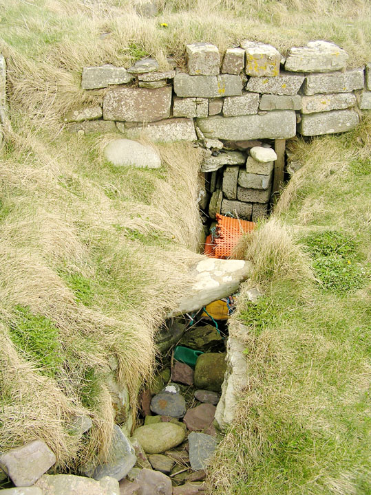 Newark (Orkney)