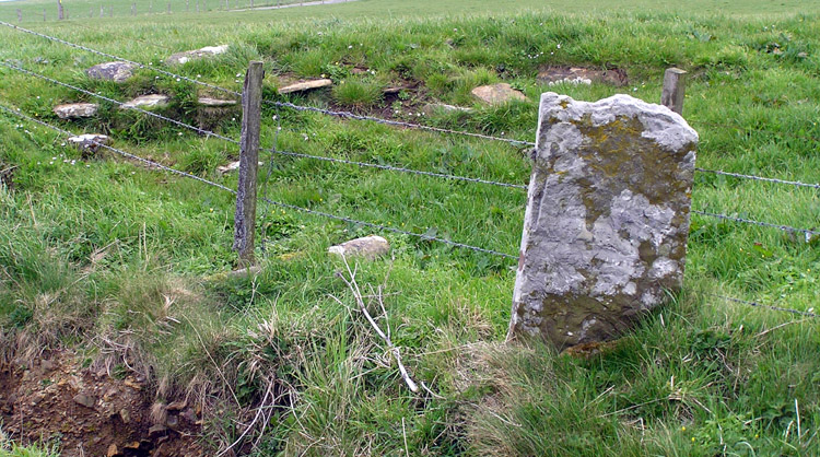 St.Magnus's Well