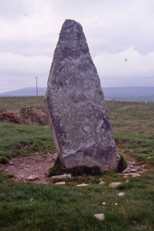 Staney stone