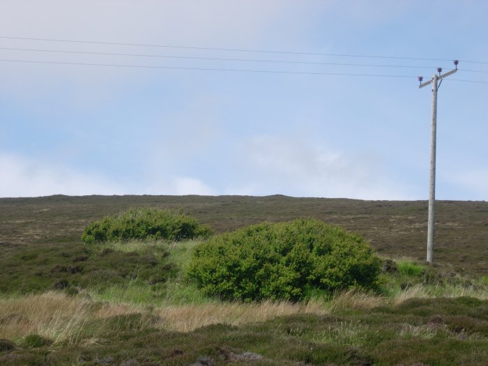 The remaining mound of Cubbie Roo's Burden, a chambered cairn, as viewed from the roadside. The purpose of my visit to Orkney was to recce most of the major sites, but in true megarak spirit, I had to look at or at least photo any 'lesser' monuments I passed. This was one of them.