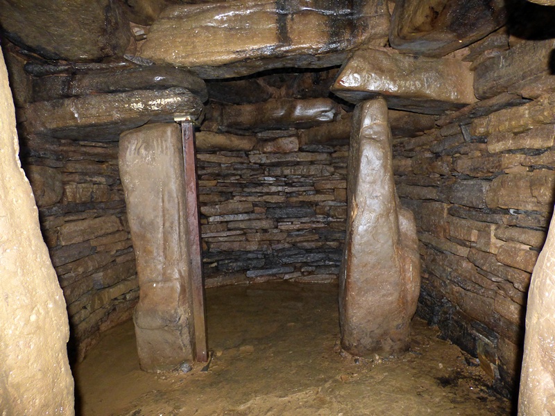 Grain Earth House