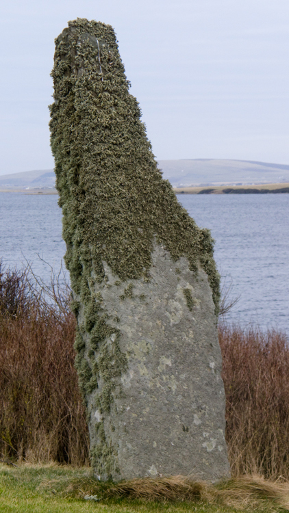 Click for full size image of Brodgar Farm Standing Stones (PID:54964) Brodgar Farm Standing Stones