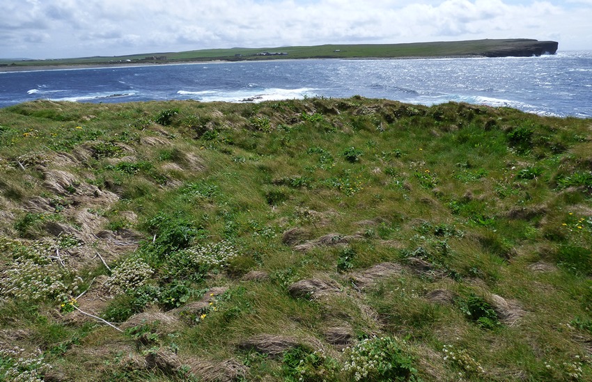 Knowe of Verron