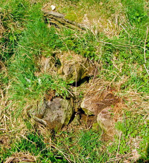 Click for the gallery page to add comments and vote (PID:56917) Fairy Well (Stenness)