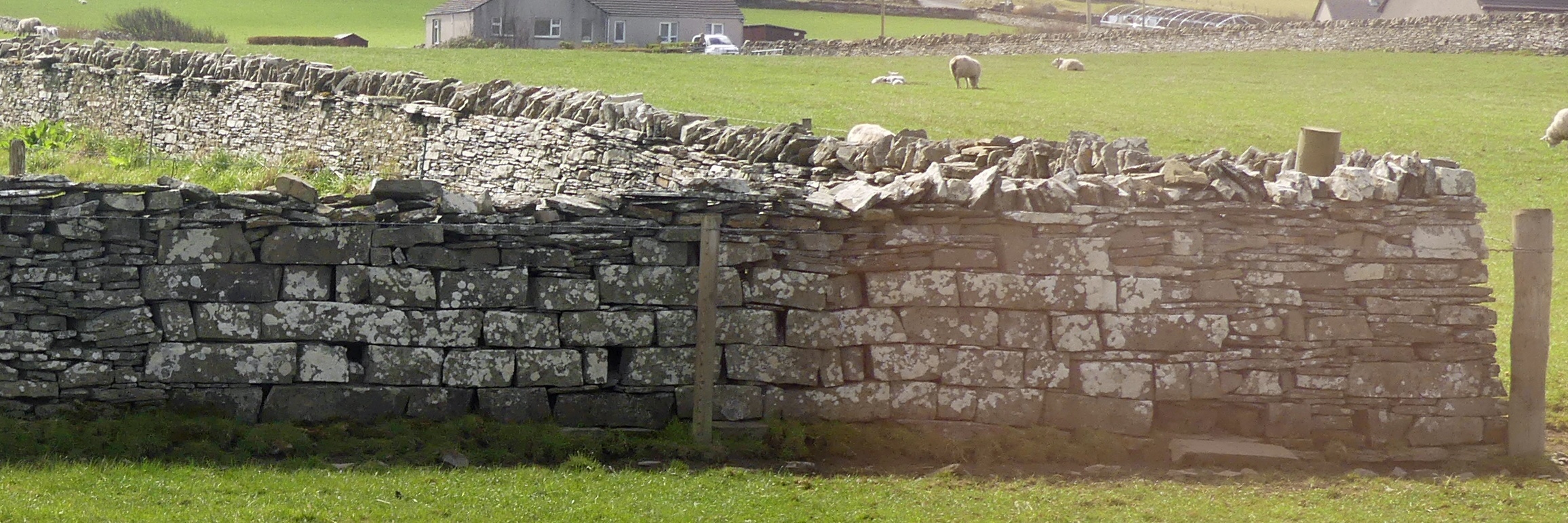 Stones used to repair a field wall
