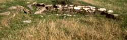 Crantit souterrain