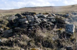 Wasdale (Orkney)