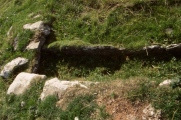 Crantit souterrain