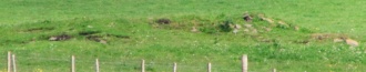St. Peter's Bay Mound