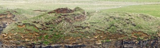 Broch of Borwick