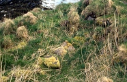Berstane Broch